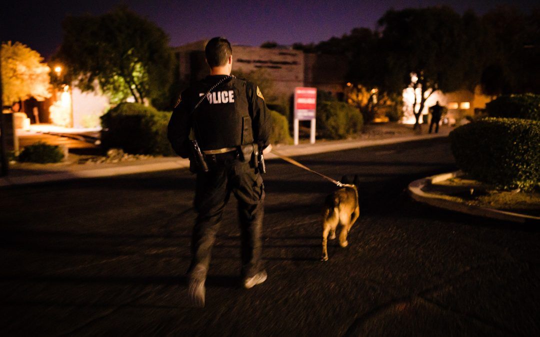 Do You Feel In Charge? Training a Working Dog