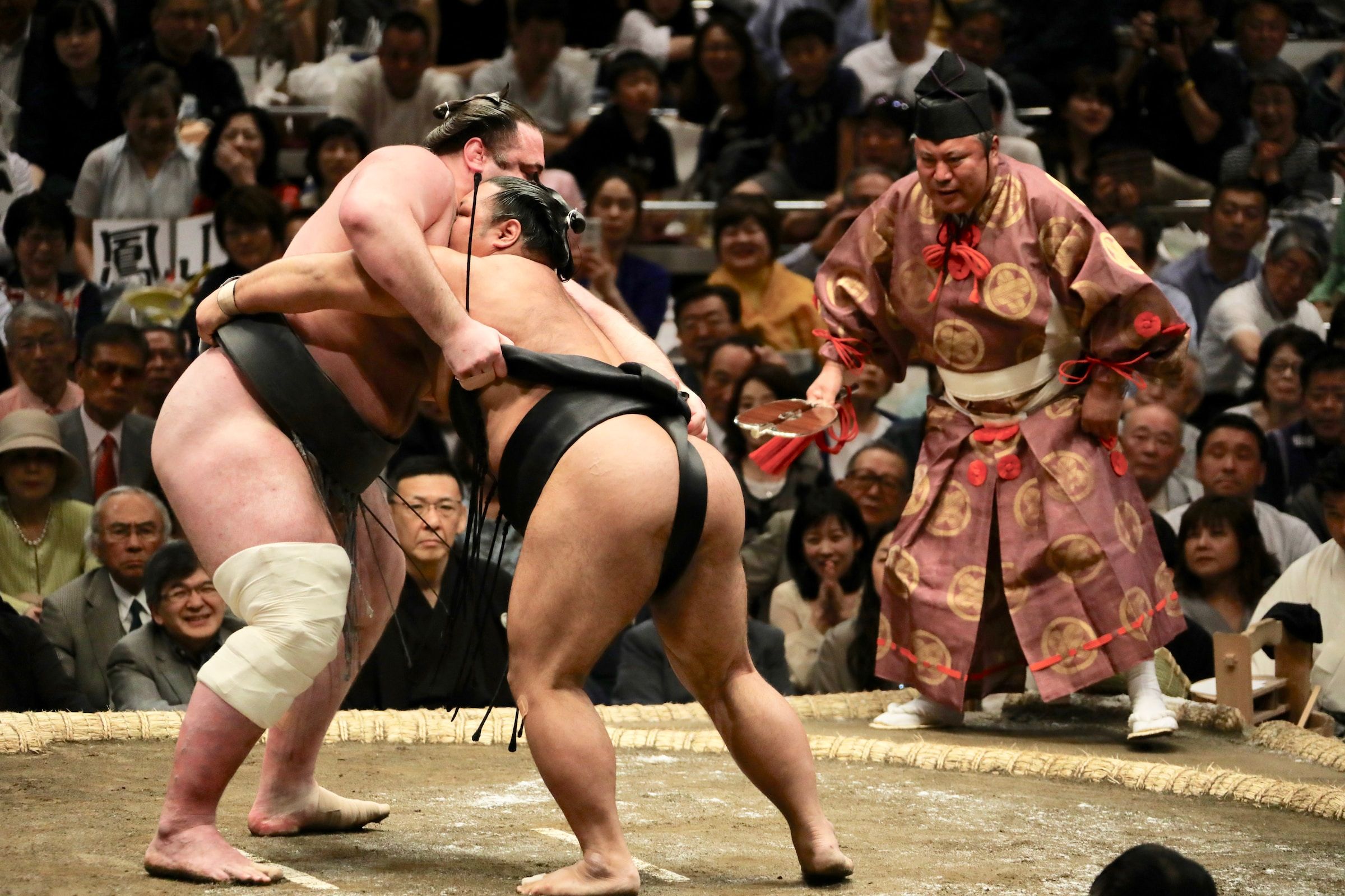two power house sumo wrestlers fight for domination in a sport