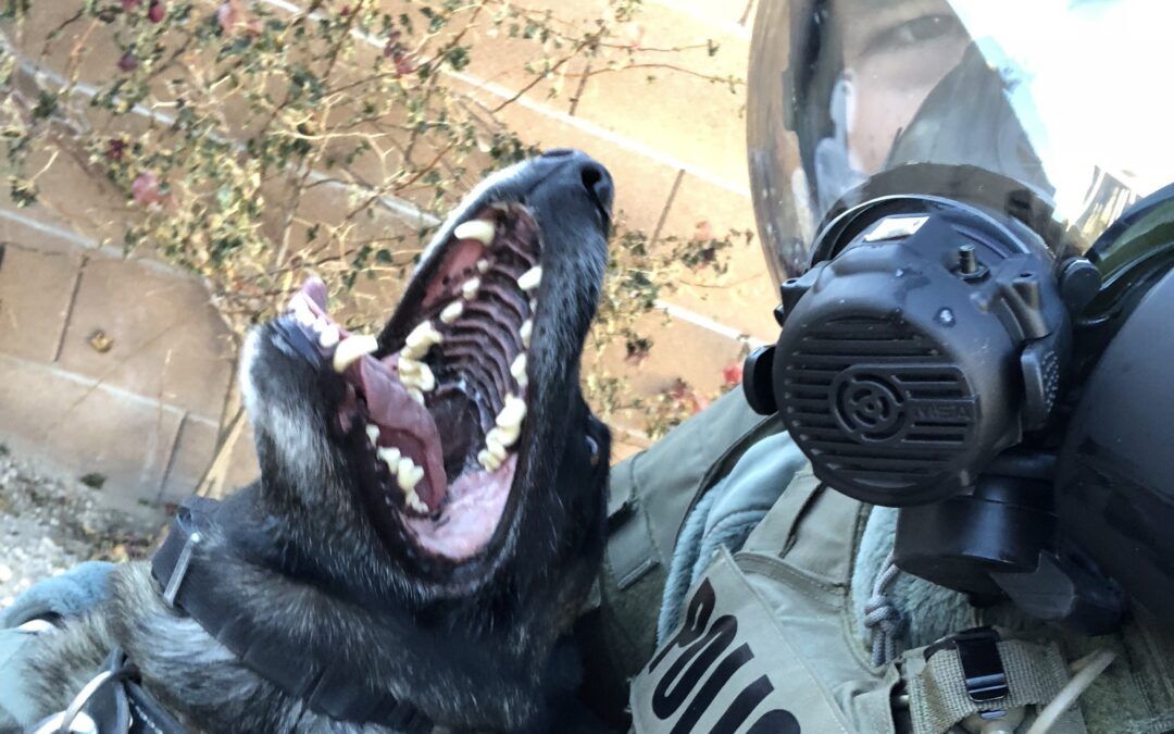 Careers in Law Enforcement – Worth It?